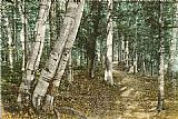 White Canvas Paintings - Riverside Path, White Mountains, New Hampshire